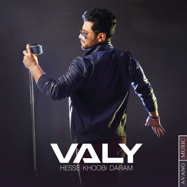 Hesse Khoobi Daram - Valy