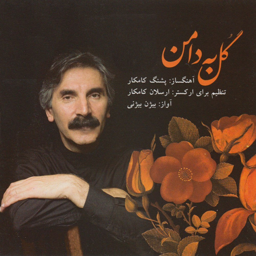 Ensemble Playing, Pt. 3 - Bijan Bijani