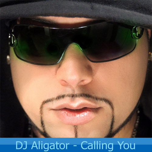 Calling You - Aligator