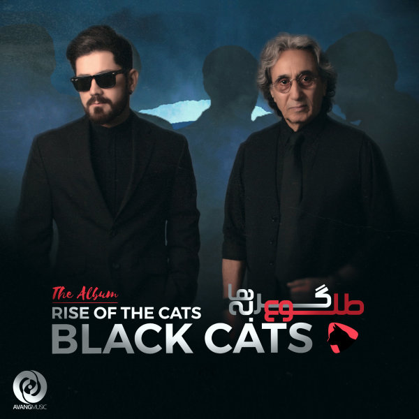 Bi Tou - Black Cats