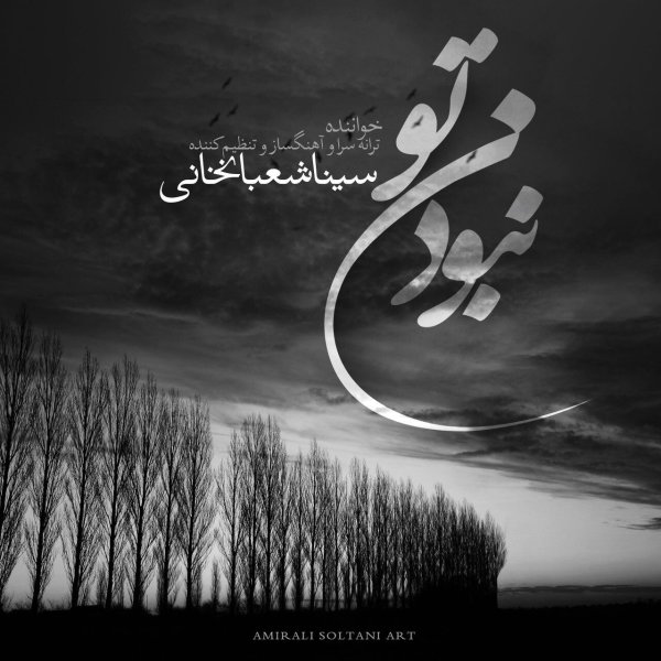 Naboodane To - Sina Shabankhani