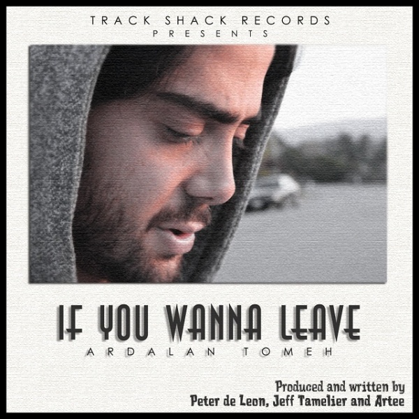 If You Wanna Leave - Ardalan Tomeh