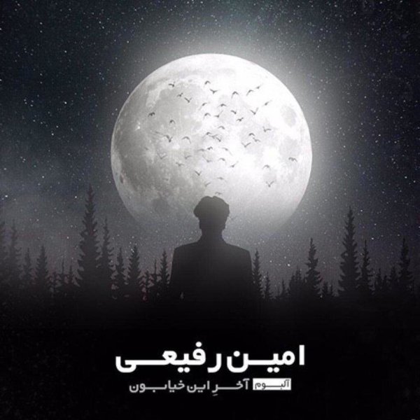 Traffic - Amin Rafiee