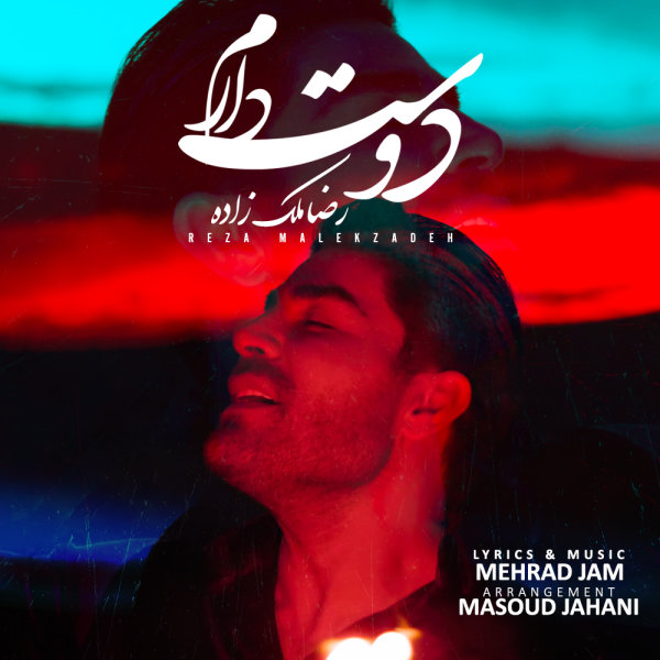 Dooset Daram - Reza Malekzadeh