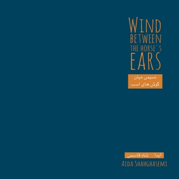 Towards You - Aida Shahghasemi