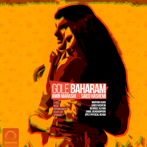 Gole Baharam (Ft Saeid Hashemi) - Amin Marashi