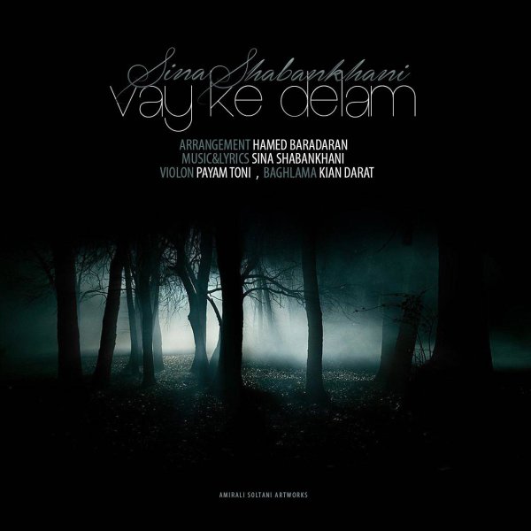 Vay Ke Delam - Sina Shabankhani