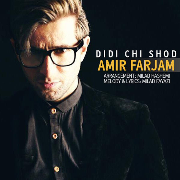 Didi Chi Shod - Amir Farjam