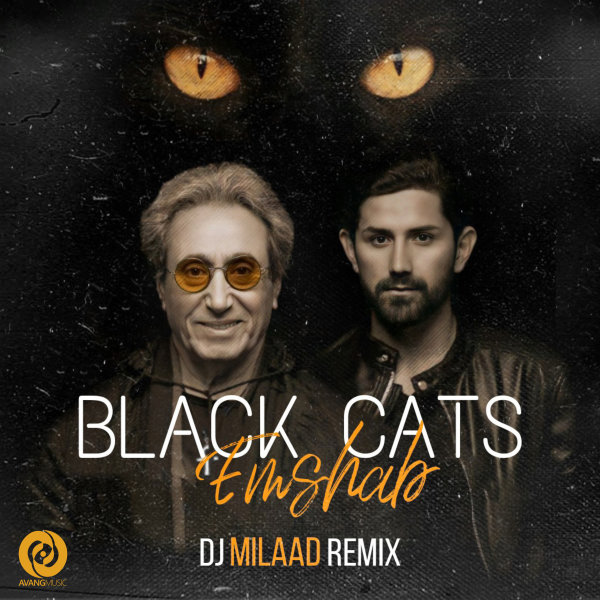 Emshab (Remix) - Black Cats