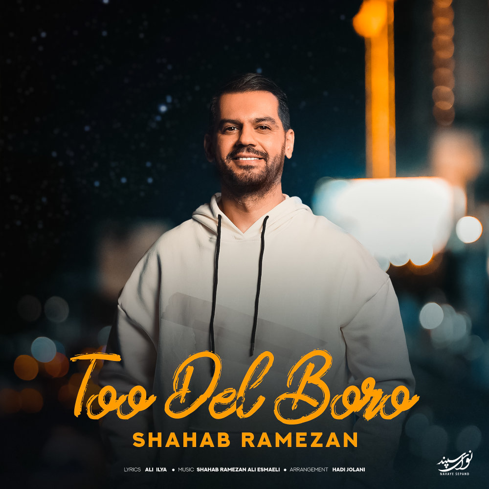 Too Del Boro - Shahab Ramezan