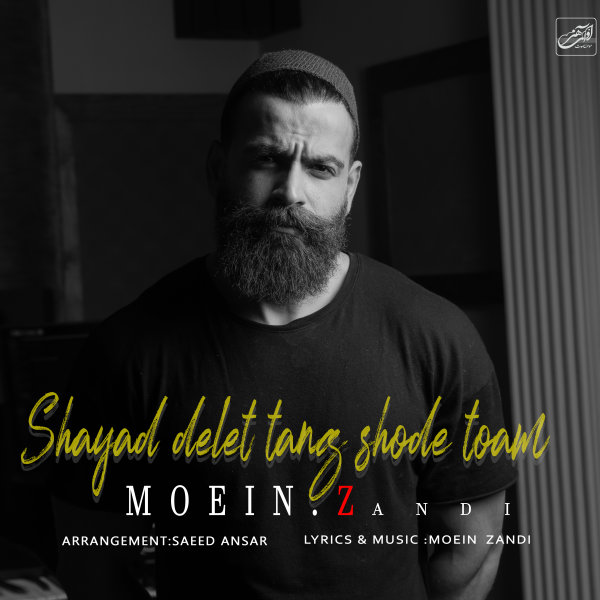 Shayad Delet Tang Shode Toam - Moein Z