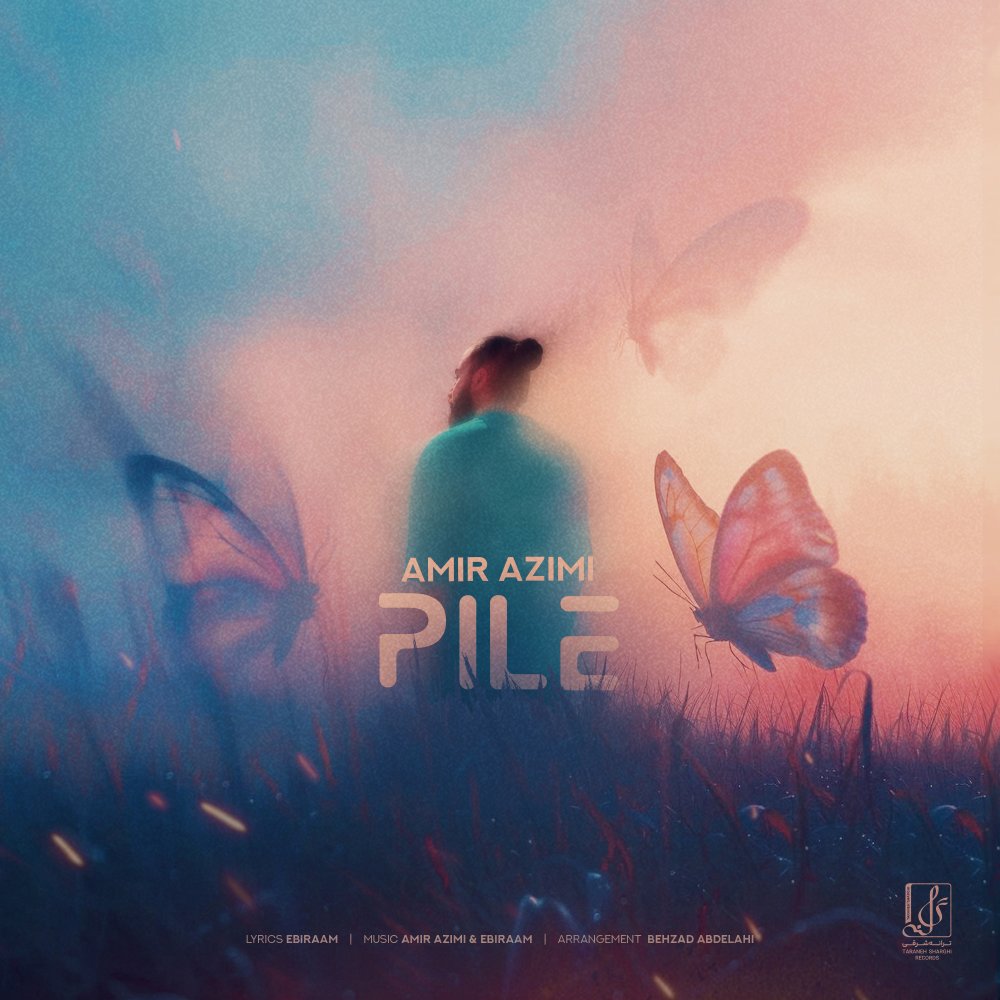 Pile - Amir Azimi