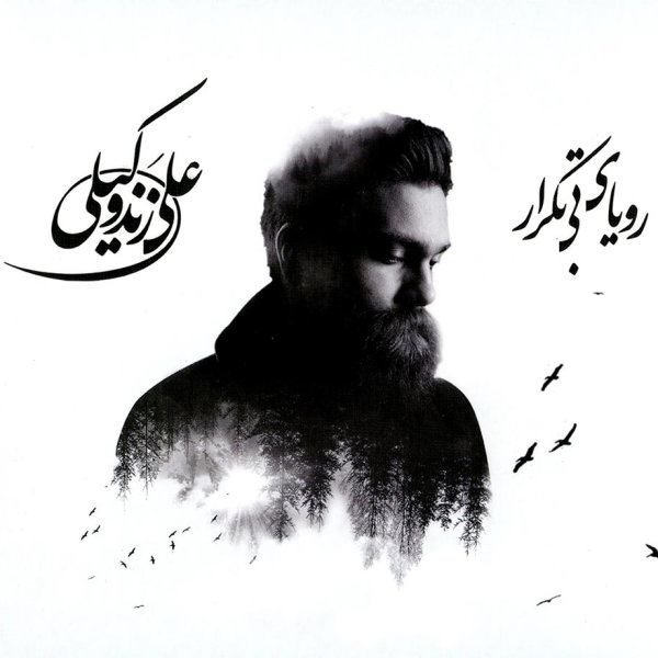 Nemiayi - Ali Zand Vakili