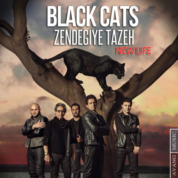 Zendegiye Tazeh - Black Cats