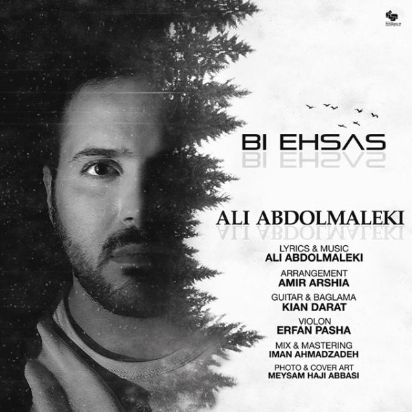 Bi Ehsas - Ali Abdolmaleki