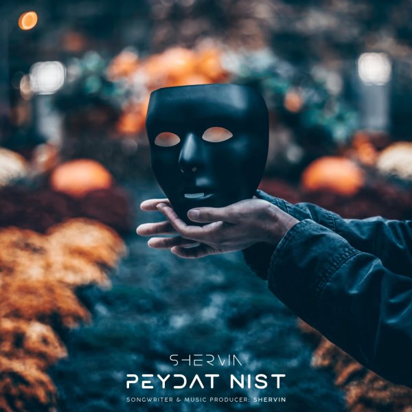 Peydat Nist - Shervin Hajipour