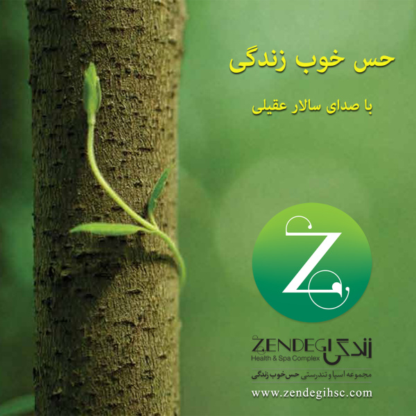 Hesse Khoobe Zendegi - Salar Aghili