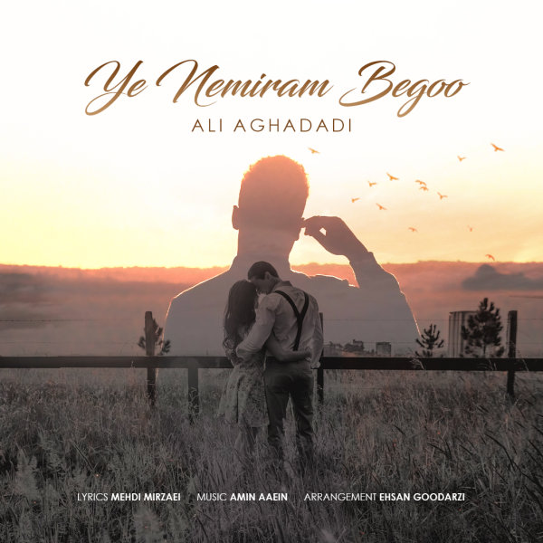 Ye Nemiram Begoo - Ali Aghadadi