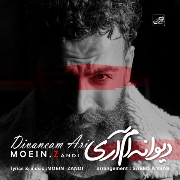 Divaneam Ari - Moein Z