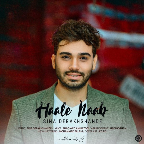 Hale Naab - Sina Derakhshande