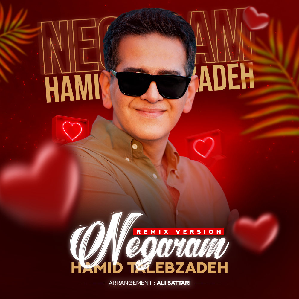 Negaram (Remix) - Hamid Talebzadeh