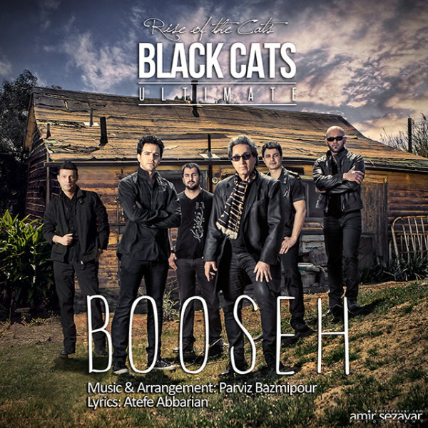 Booseh - Black Cats