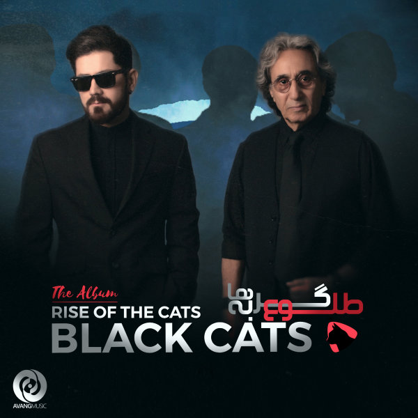 Peyk - Black Cats