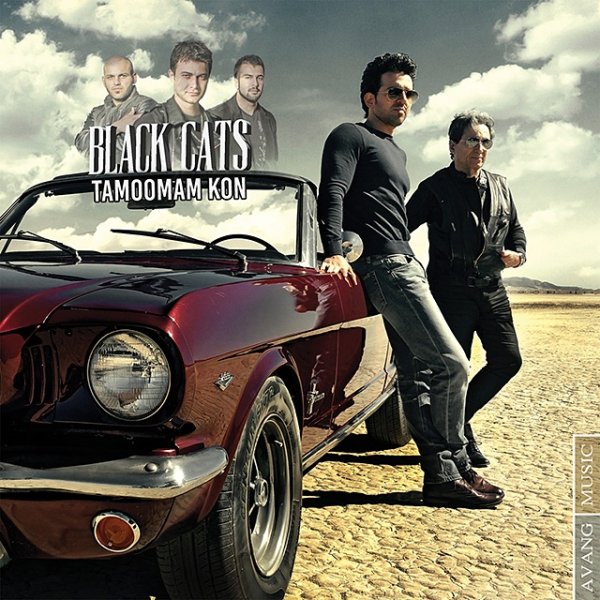 Tamoomam Kon - Black Cats