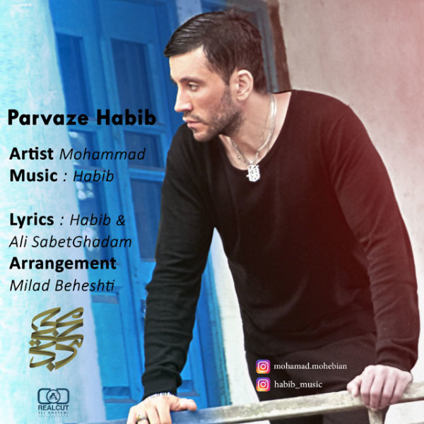 Parvaze Habib - Mohamad
