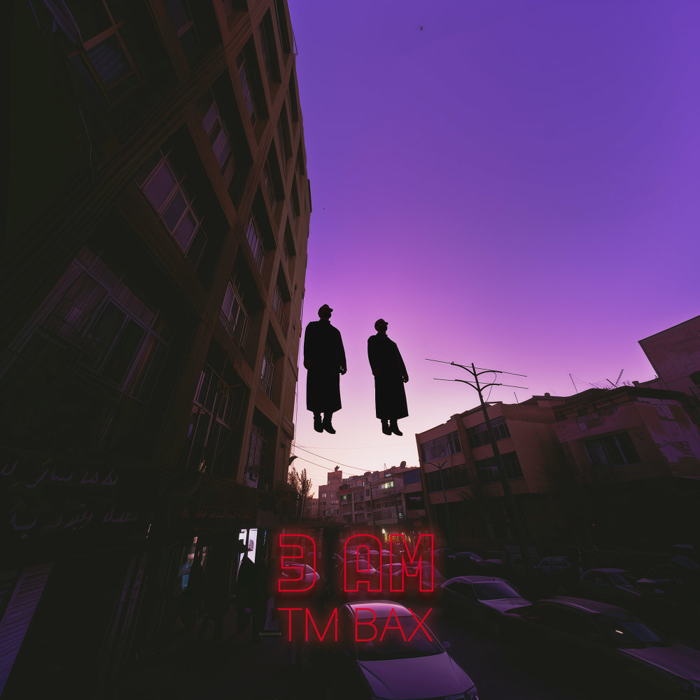 Promise - TM Bax