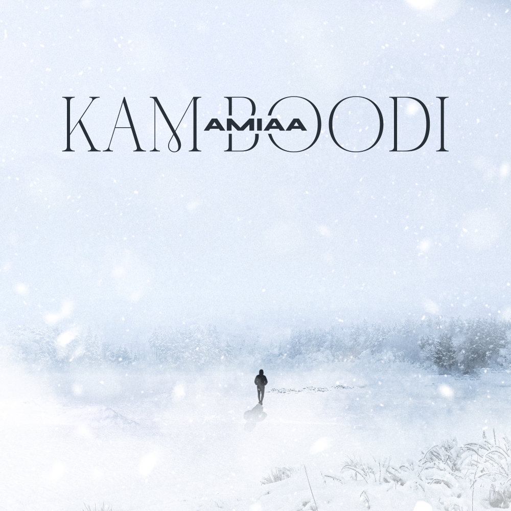 Kam Boodi - Amiaa